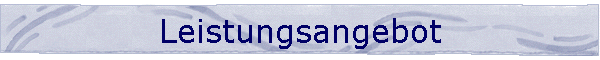 Leistungsangebot